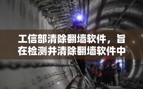 工信部清除翻墙软件，旨在检测并清除翻墙软件中的恶意行为，确保用户能够安全登录和访问合法网站。以下是对这一任务的分步说明