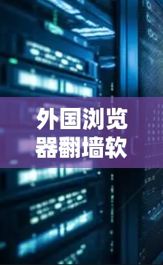 外国浏览器翻墙软件，网络安全与隐私的双重困境