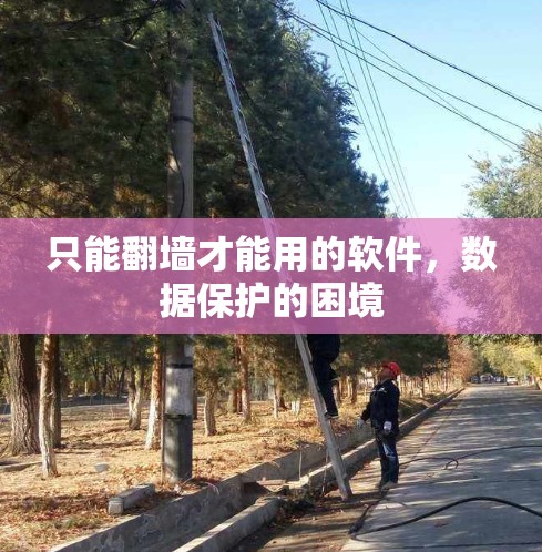只能翻墙才能用的软件，数据保护的困境