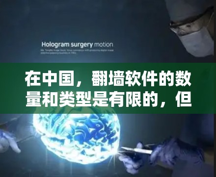 在中国，翻墙软件的数量和类型是有限的，但有一些软件专门针对中国互联网的环境，能够有效保护用户免受网络攻击。以下是一些中国适合用户使用的翻墙软件推荐