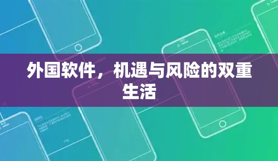 外国软件，机遇与风险的双重生活