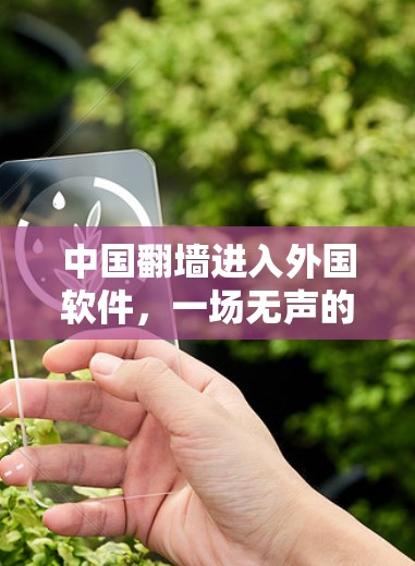 中国翻墙进入外国软件，一场无声的网络战争