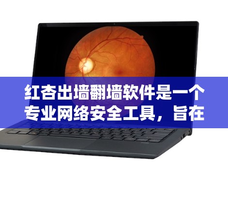 红杏出墙翻墙软件是一个专业网络安全工具,旨在帮助用户手动访问和恢复内部系统和外部网站,从而维护网络环境的安全。以下是关于该软件的详细信息 红杏出墙翻墙软件是一个专业网络安全工具,旨在帮助用户手动访问和恢复内部系统和外部网站,从而维护网络环境的安全。以下是关于该软件的详细信息