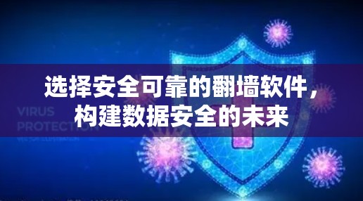 选择安全可靠的翻墙软件，构建数据安全的未来