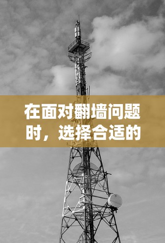 在面对翻墙问题时，选择合适的软件是关键。以下是一些推荐的软件，涵盖不同系统和需求