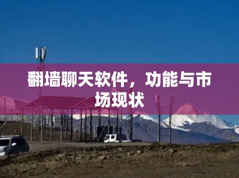 翻墙聊天软件，功能与市场现状