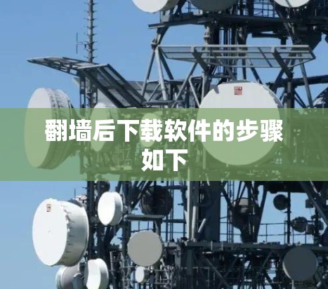 翻墙后下载软件的步骤如下