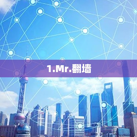 1.Mr.翻墙