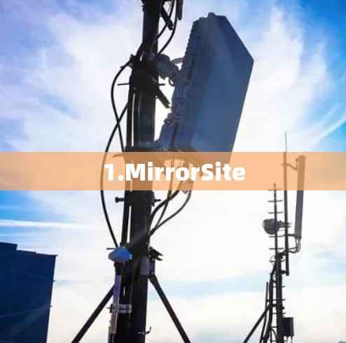 1.MirrorSite