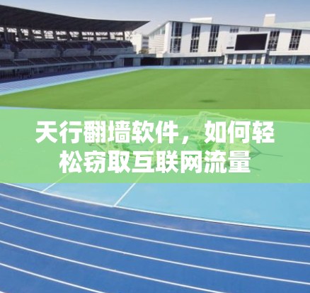 天行翻墙软件,如何轻松窃取互联网流量 天行翻墙软件,如何轻松窃取互联网流量