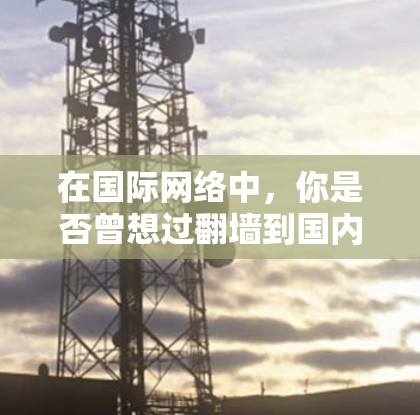 在国际网络中，你是否曾想过翻墙到国内？