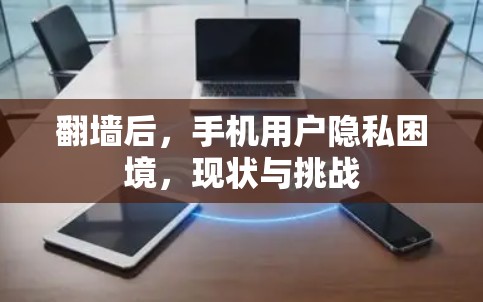 翻墙后，手机用户隐私困境，现状与挑战
