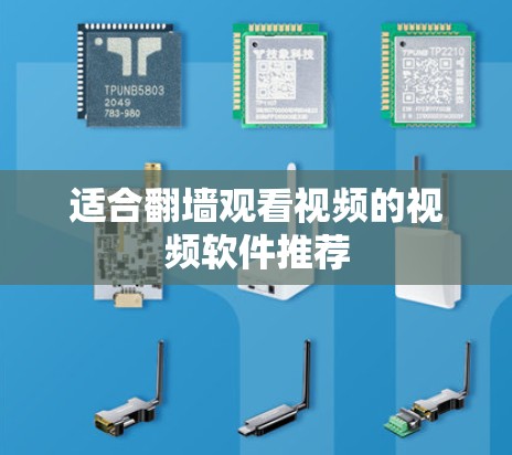 适合翻墙观看视频的视频软件推荐
