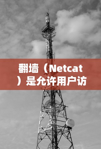翻墙（Netcat）是允许用户访问网络外部资源的工具，通过特定的网络协议（如NAT）实现。以下是一些支持翻墙的软件及其特点