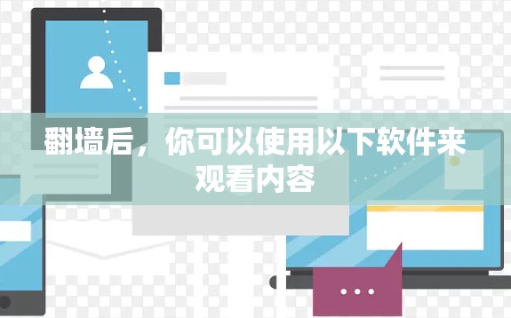 翻墙后，你可以使用以下软件来观看内容