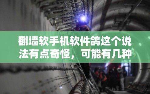 翻墙软手机软件鸽这个说法有点奇怪，可能有几种解释