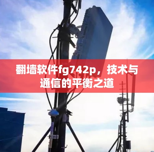翻墙软件fg742p，技术与通信的平衡之道