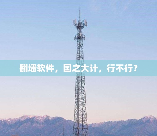 翻墙软件，国之大计，行不行？