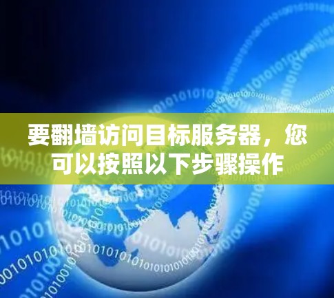 要翻墙访问目标服务器，您可以按照以下步骤操作