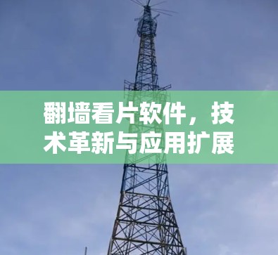 翻墙看片软件，技术革新与应用扩展