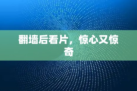 翻墙后看片，惊心又惊奇