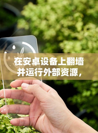 在安卓设备上翻墙并运行外部资源，可以使用以下软件