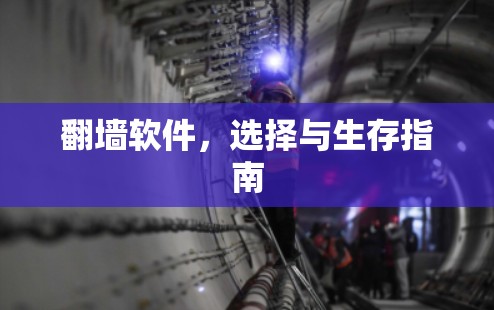 翻墙软件，选择与生存指南