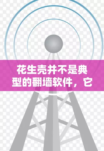 花生壳并不是典型的翻墙软件，它更偏向于加密和网络安全工具。以下是对花生壳的详细介绍