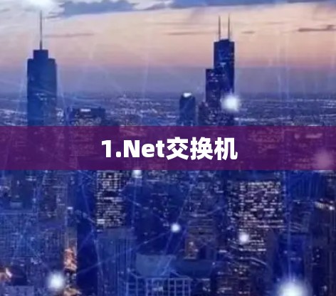 1.Net交换机