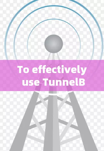 To effectively use TunnelBear VPN,follow these organized steps: