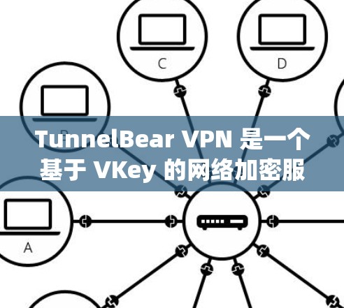 TunnelBear VPN 是一个基于 VKey 的网络加密服务，提供多种加密方式以确保安全性。以下是对其安全性的综合分析
