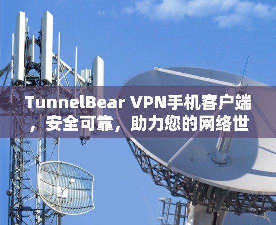 TunnelBear VPN手机客户端，安全可靠，助力您的网络世界
