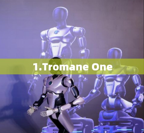 1.Tromane One