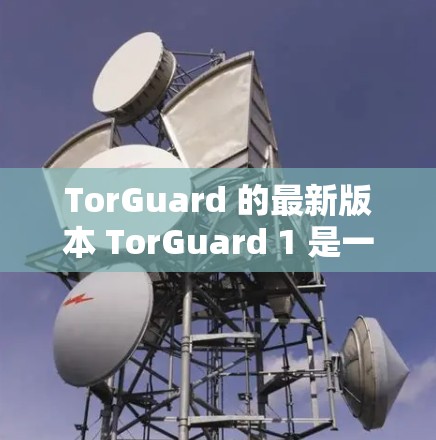 TorGuard 的最新版本 TorGuard 1 是一款旨在保护用户隐私和数据安全的网络工具。以下是其客户端的详细介绍