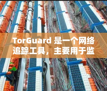 TorGuard 是一个网络追踪工具，主要用于监控和分析网络流量。它可以被用于测试服务器节点，尤其是当这些服务器位于全球网络中时，可以用于测试 TorGuard 端点如何连接到这些服务器上的设备