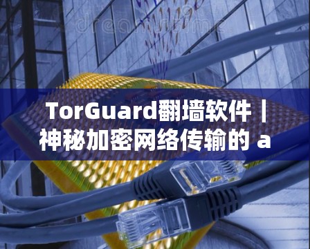 TorGuard翻墙软件｜神秘加密网络传输的 alan