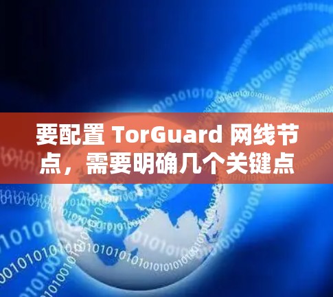 要配置 TorGuard 网线节点，需要明确几个关键点，主节点、备份节点、主服务器和备份服务器。以下是详细的配置方法
