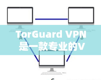 TorGuard VPN 是一款专业的VPN客户端，旨在提供全面的安全防护和便捷的网络访问体验。以下是对 TorGuard VPN 的详细介绍