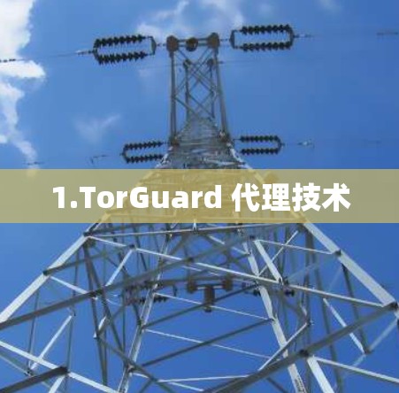 1.TorGuard 代理技术