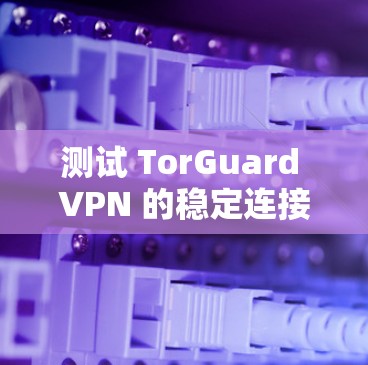 测试 TorGuard VPN 的稳定连接步骤如下