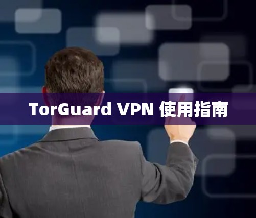 TorGuard VPN 使用指南