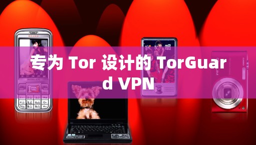 专为 Tor 设计的 TorGuard VPN