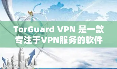 TorGuard VPN 是一款专注于VPN服务的软件，专为用户提供安全、可靠的网络连接。如果你正在寻找 TorGuard VPN 的官方正版软件，可以按照以下步骤进行查找