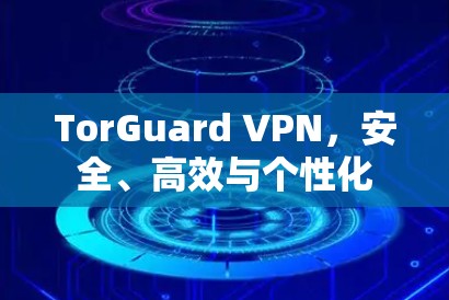 TorGuard VPN，安全、高效与个性化