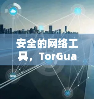 安全的网络工具，TorGuard VPN APP最新版