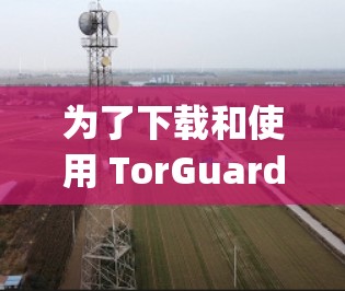 为了下载和使用 TorGuard VPN.app，您可以按照以下步骤进行操作