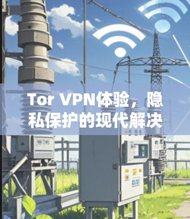 Tor VPN体验，隐私保护的现代解决方案