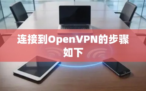 连接到OpenVPN的步骤如下