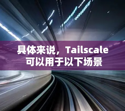 具体来说，Tailscale 可以用于以下场景