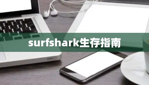surfshark生存指南
